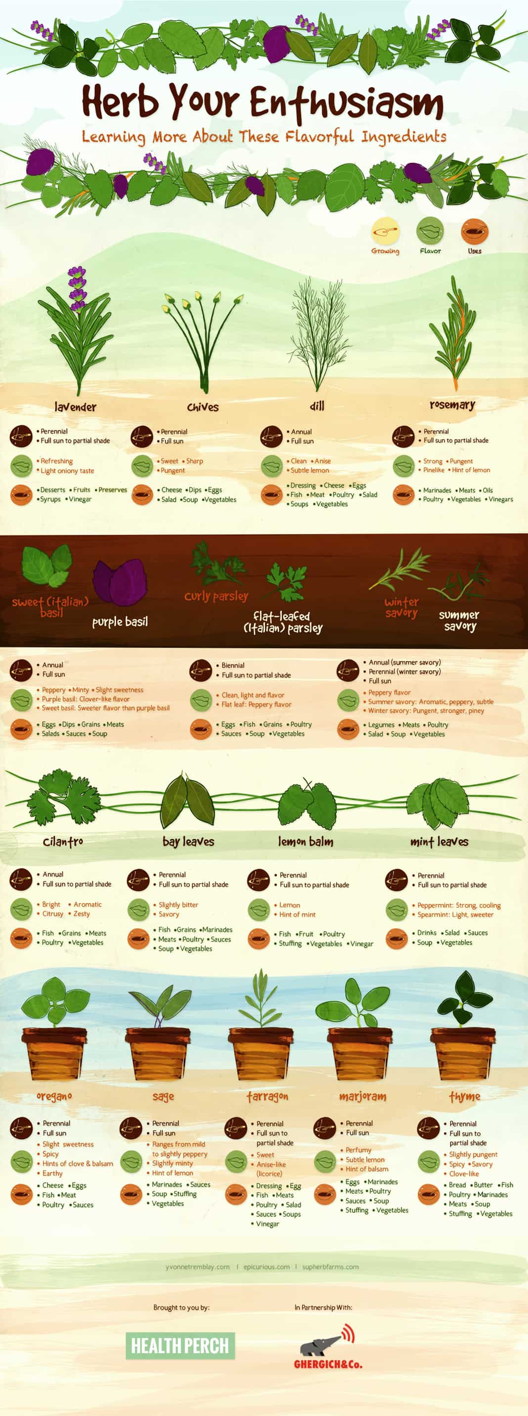 Herb Your Enthusiasm - Culinary Herbs Infographic