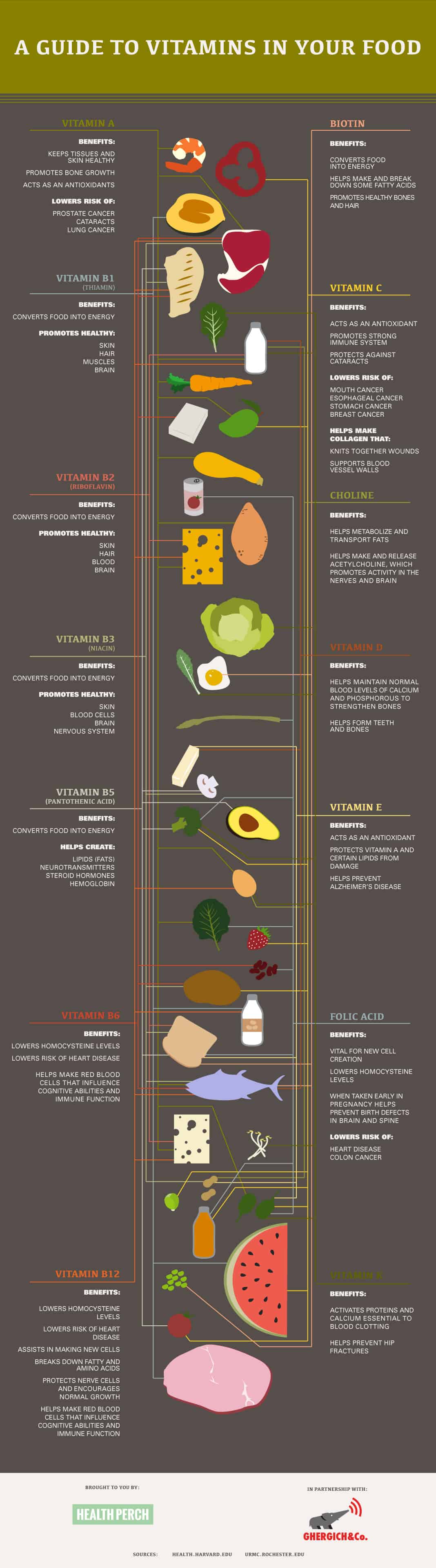 A Guide To Vitamins In Your Food Infographic