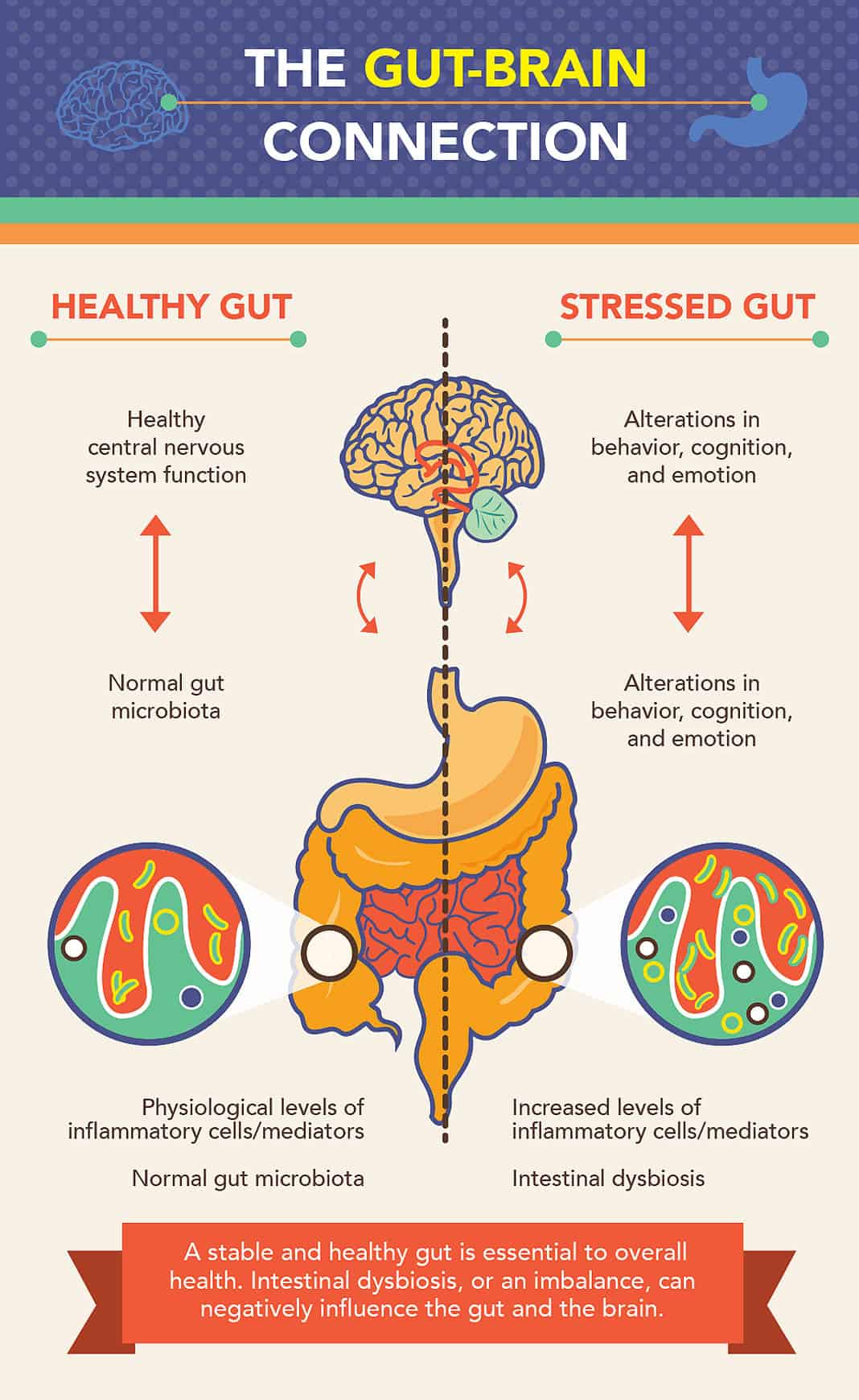 When You Can’t Trust Your Gut Feeling: 8 Simple Strategies to Improve Your Gut Health Today