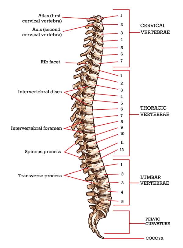 Degenerative Disc Disease