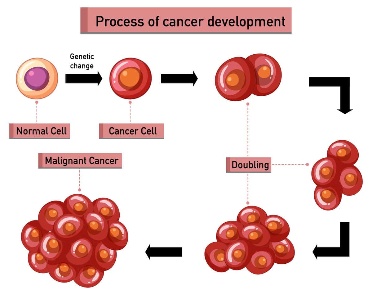 Illustration of cancer cell development