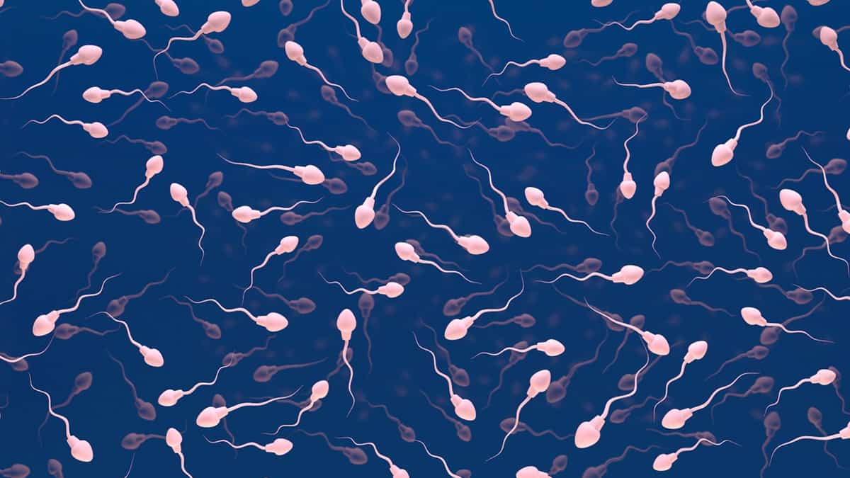 Male Infertility