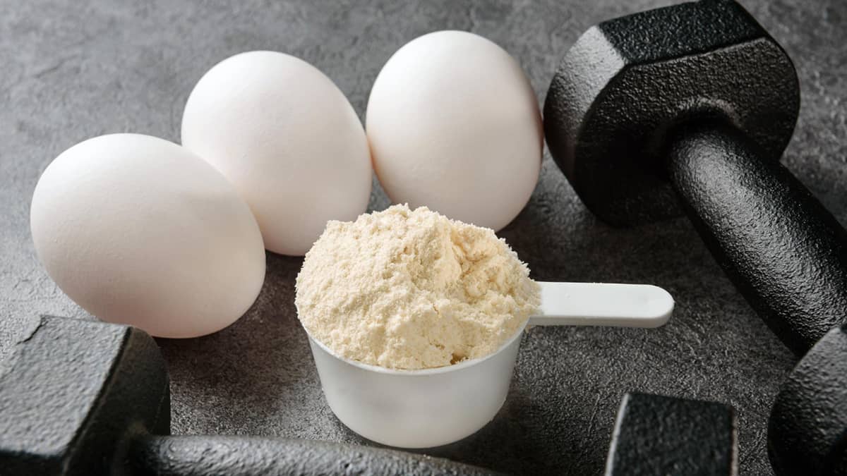 Protein Powders