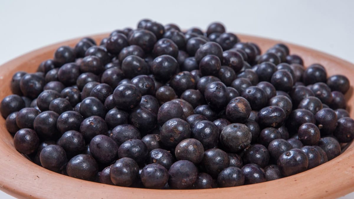 A bowl of açaí berries