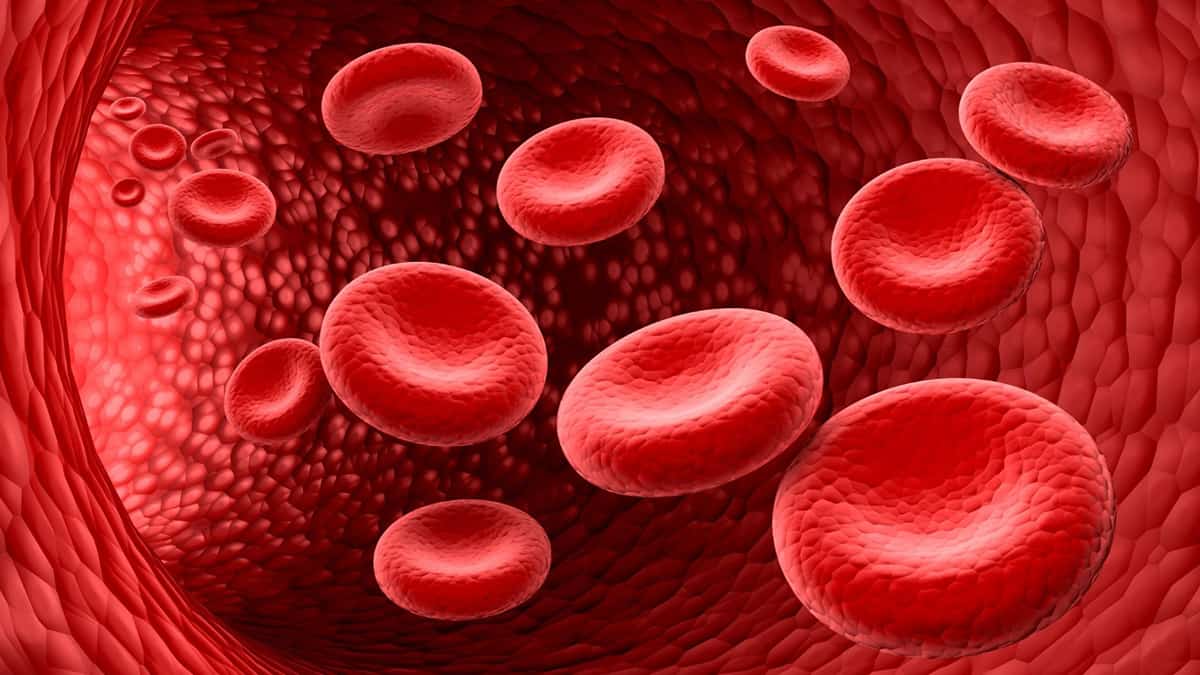 Types of Anemia