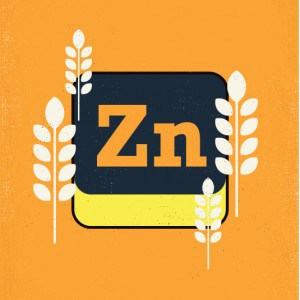 Zinc