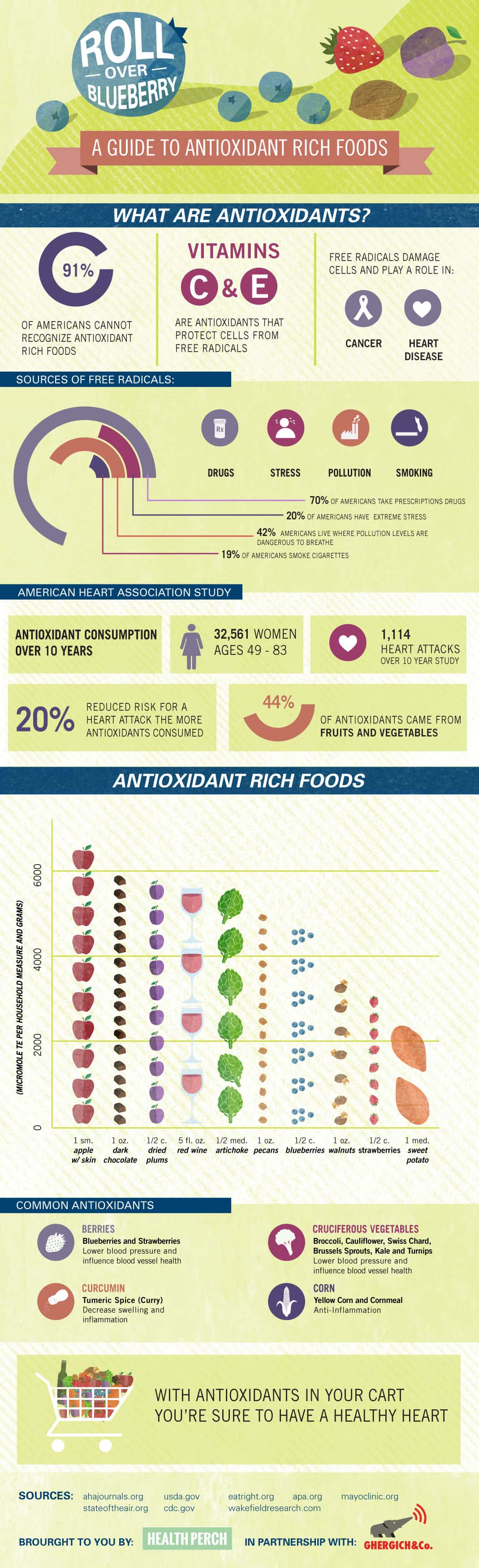 Roll Over Blueberry - A Guide To Antioxidants - Infographic