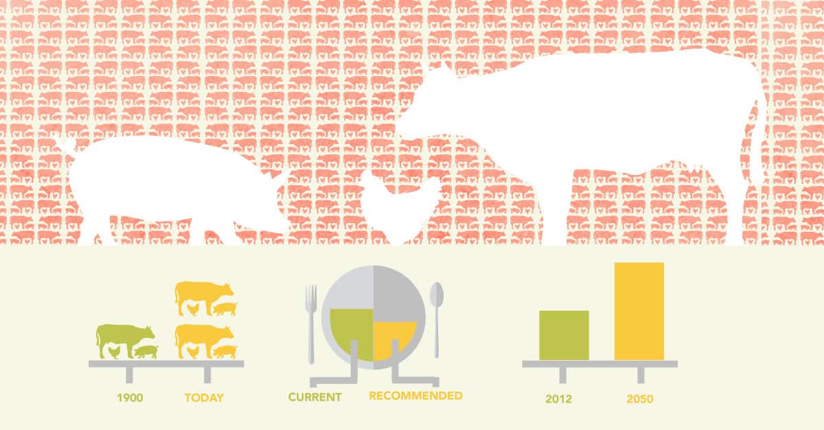 Meatless Monday Header Image