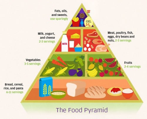 Priming For Paleo - 4 Experts Weigh In On Starting The Paleo Diet - Food Pyramid