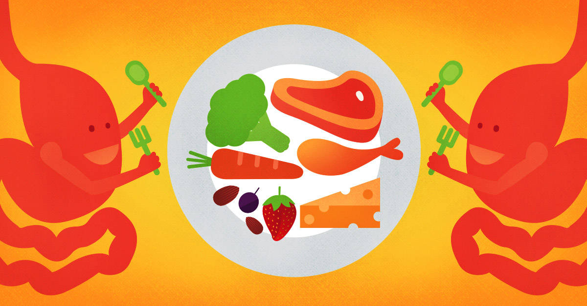 How the Paleo Diet Can Help Heal IBS