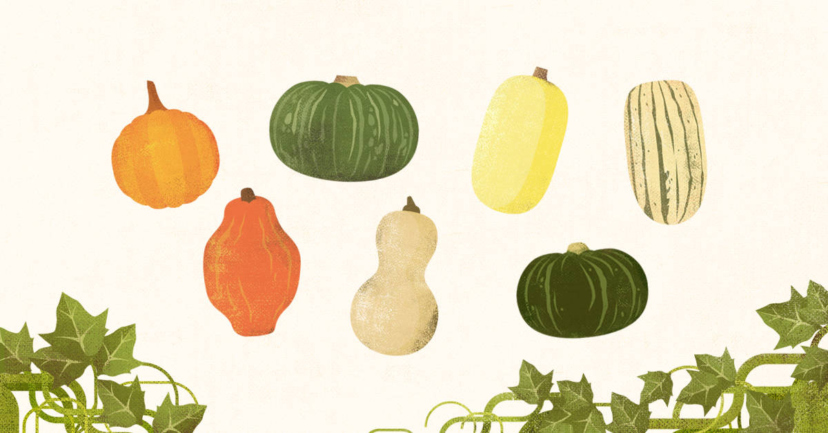 Squash Season: How to Cook, Roast, and Enjoy Fall’s Favorite Fruit