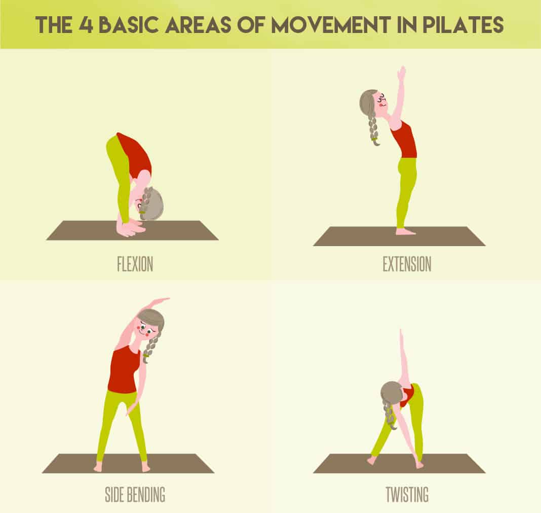 The 4 Basic Areas of Movement