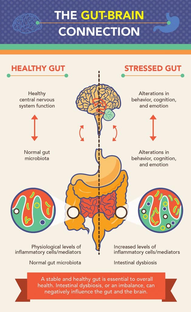 When You Can’t Trust Your Gut Feeling: 8 Simple Strategies to Improve Your Gut Health Today