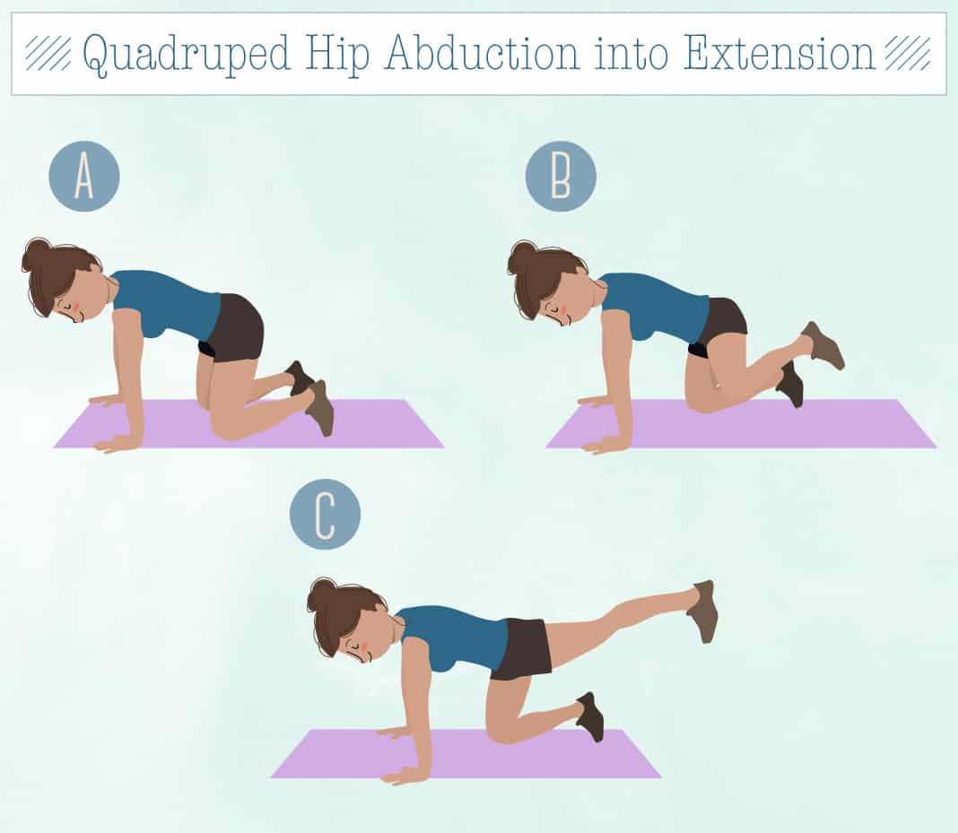 How to tone. Quadruped (Hip work, Arm work, Mobilization). Hip Abduction. Quadruped stabilization exercise. Extra-range Side-lying Hip Abduction.