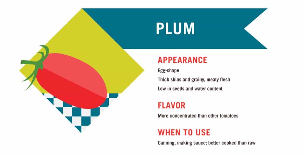 Plum Tomato