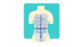 Experiencing Abdominal Pain? Where it Is May Help Explain What it Is