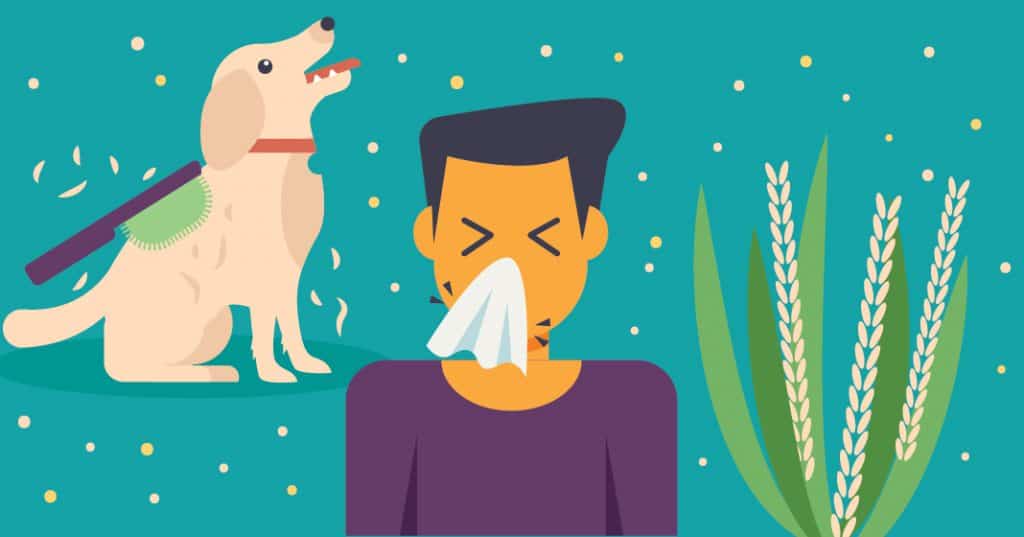 Why Seasonal Allergies Make You Feel Miserable and How to Prevent Them