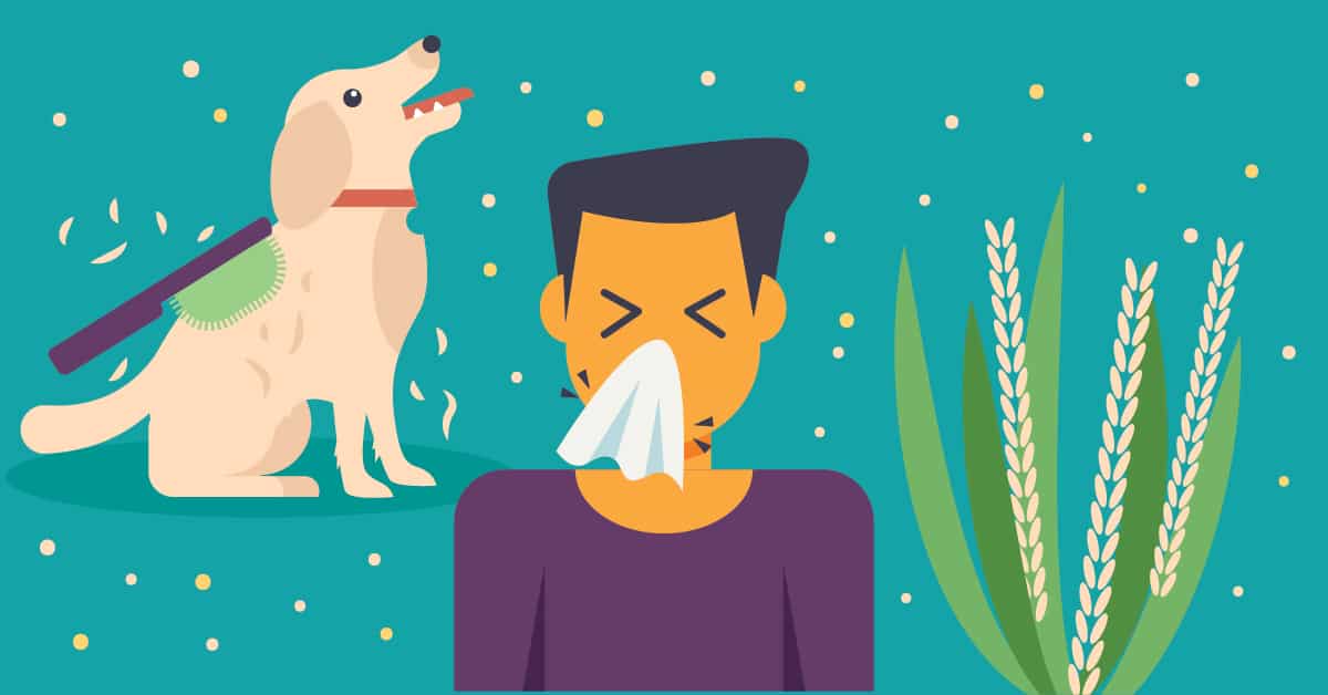 Why Seasonal Allergies Make You Feel Miserable and How to Prevent Them