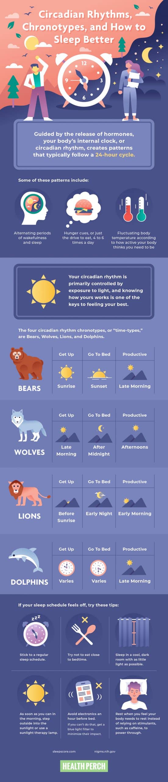 Bear, Wolf, Lion, or Dolphin? What You Need to Understand About Your Circadian Rhythm