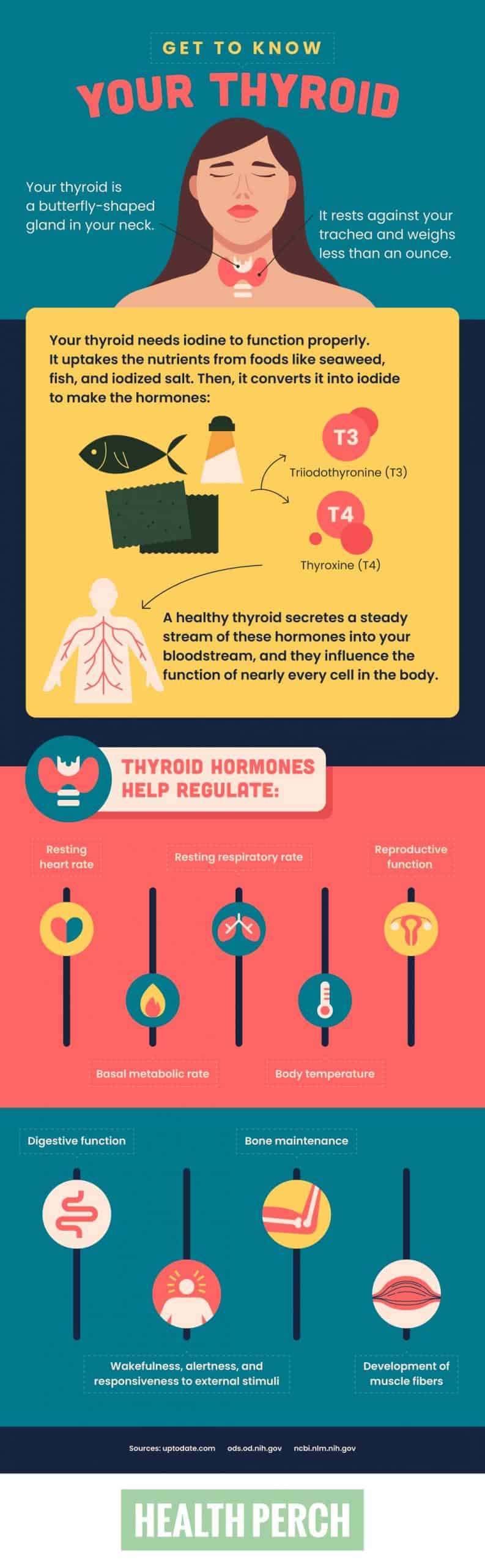 The Top Signs Your Thyroid is Overactive or Underactive