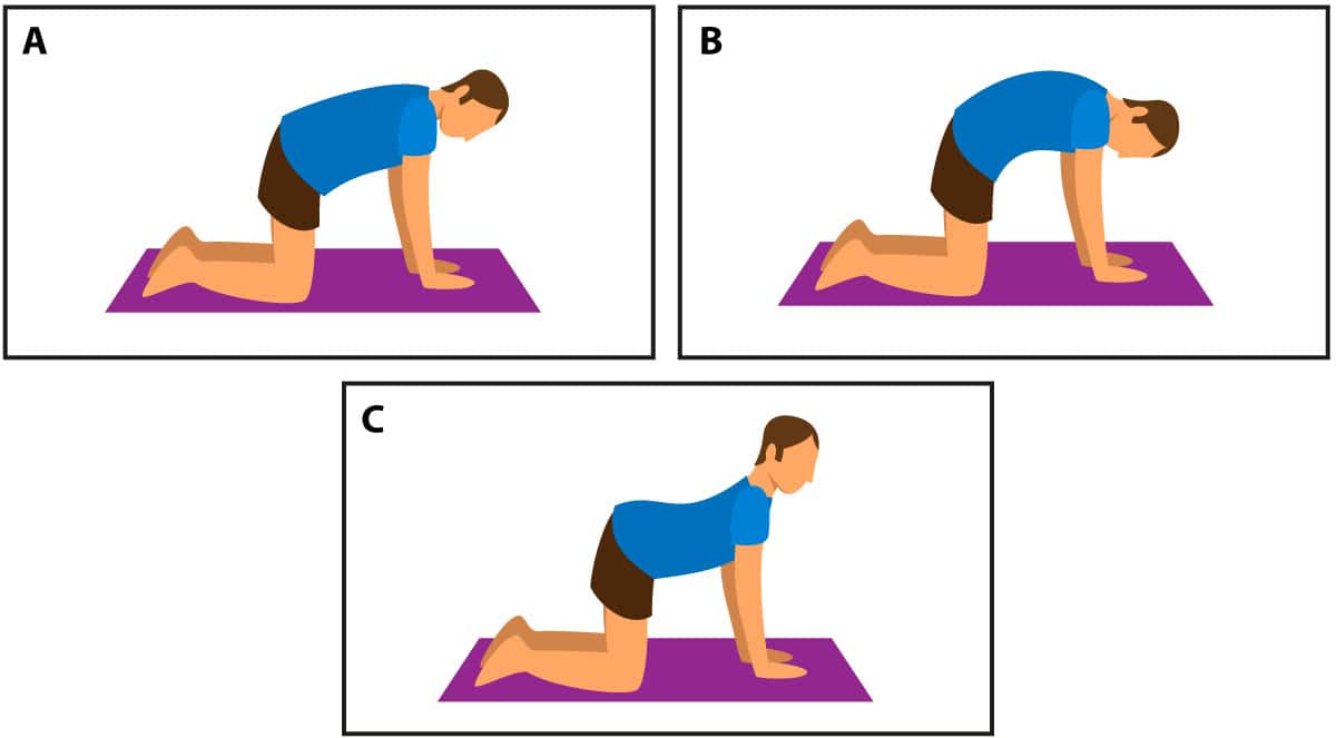 Cat Stretch Illustration