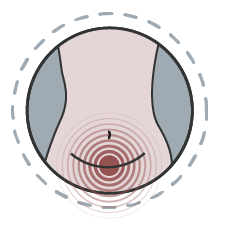 Pain in your pelvis