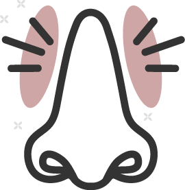 Nasal irritation