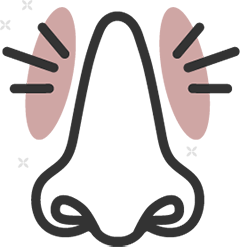 Sinus pain