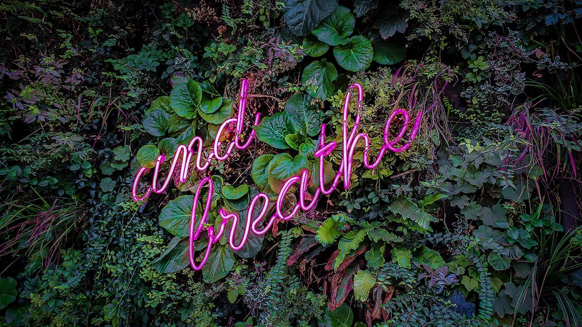 Breathe