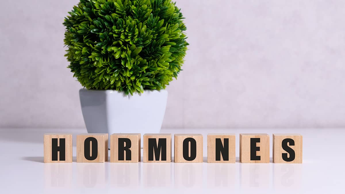 Common Hormone Therapies