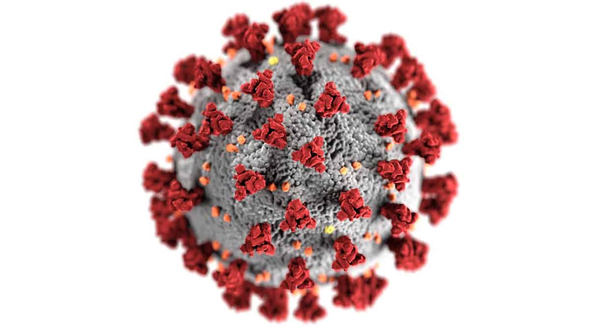 Rendering of a COVID-19 virus