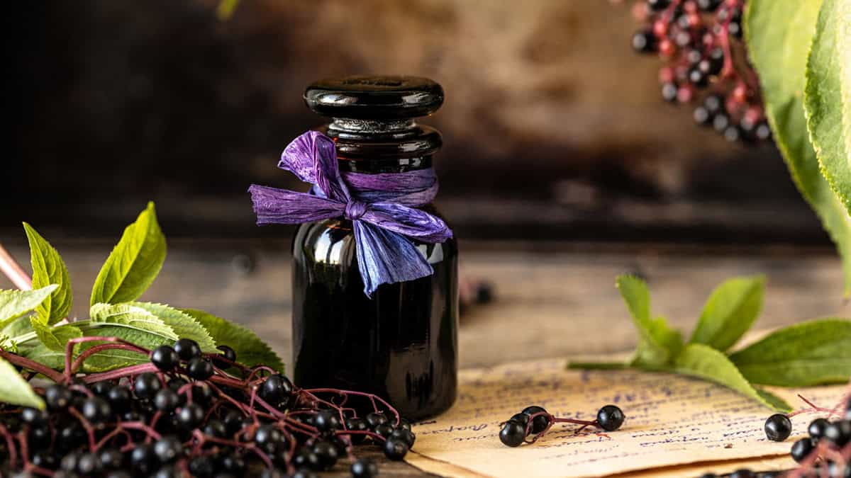 Best Elderberry Supplements for Kids & Adults: Gummies & Syrup