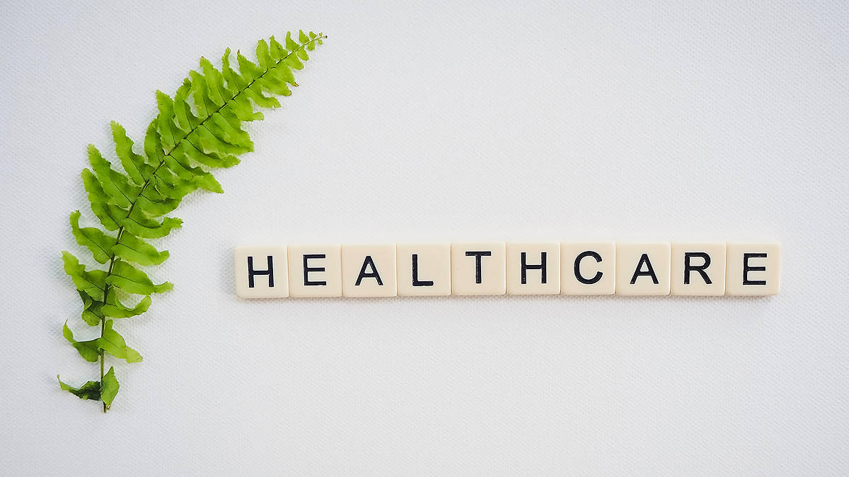 Fern with healthcare letter tiles